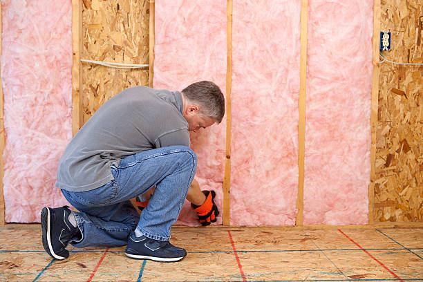 Best DIY Insulation Kits and Guidance in Deatsville, AL